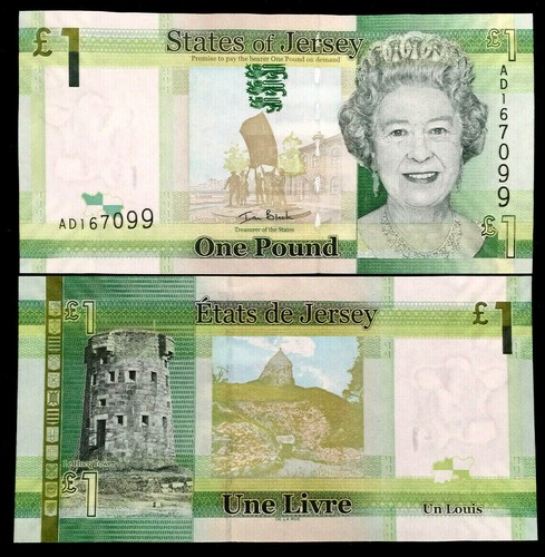 Jersey pound 2010 - jersey,