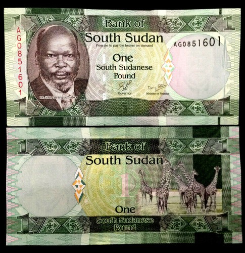 South sudan pound - south,